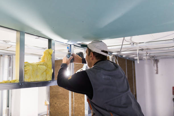 Best Reflective Insulation  in New Market, VA