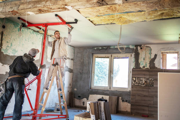 Best Wall Insulation Installation  in New Market, VA